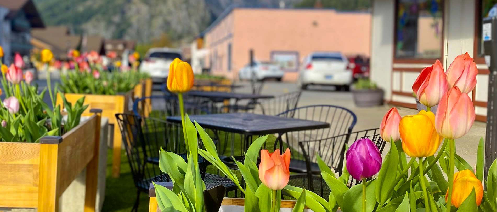 flowers and breakfast tables